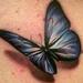 Tattoos - Realistic Butterfly - 88851